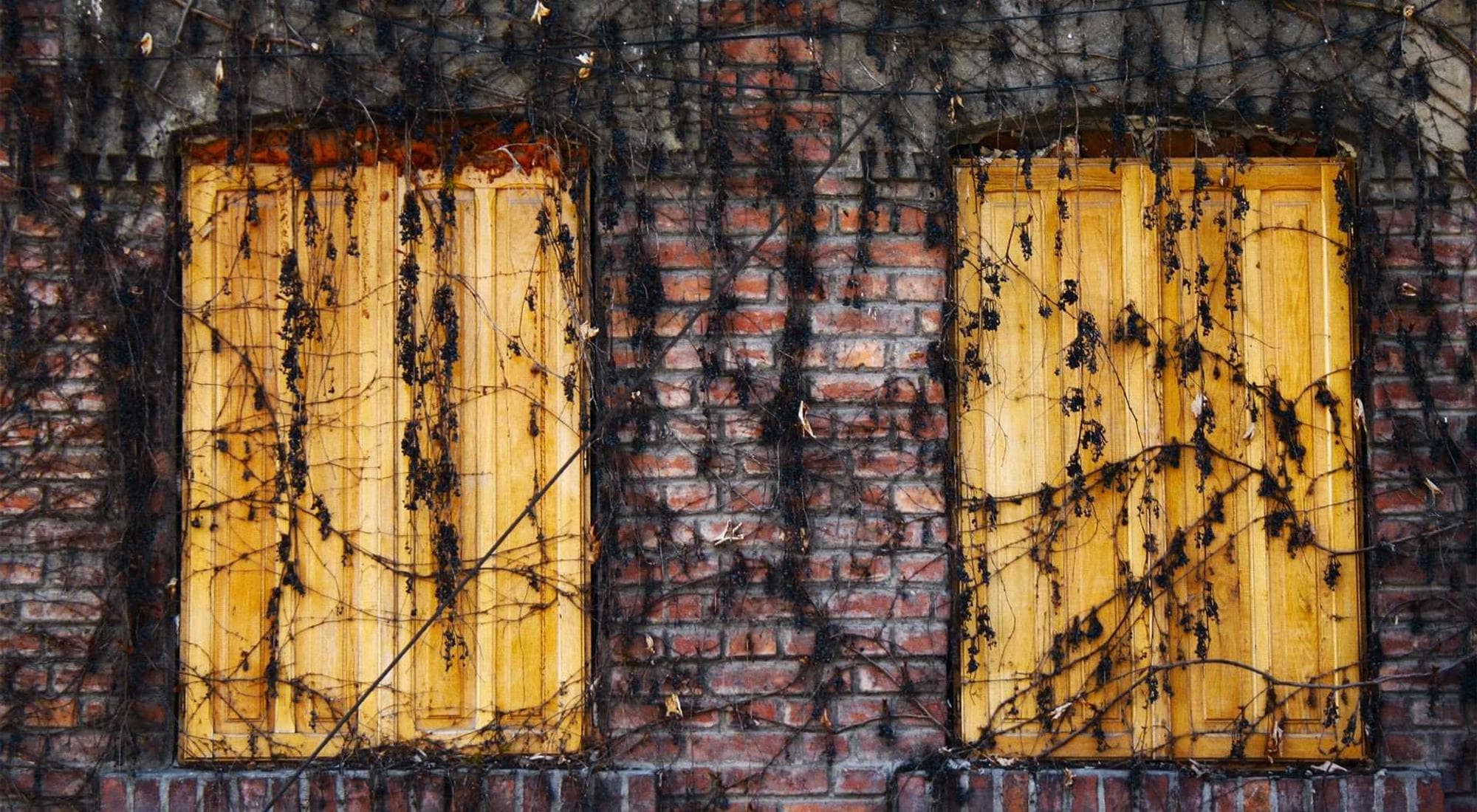 Deals & Acquisitions